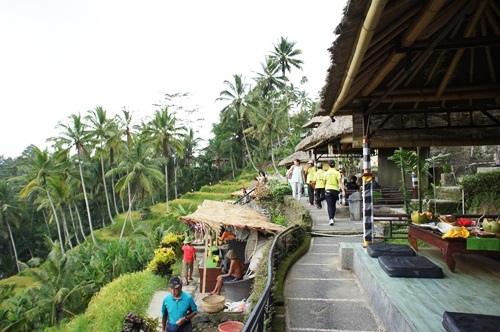 Teras Padi Cafe