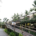 mara river safari lodge
