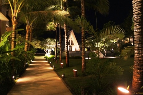 Conrad Suite 