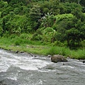 SOBEK Ayung River Experience