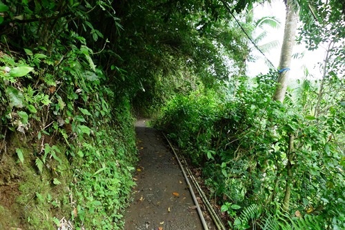 SOBEK Ayung River Experience