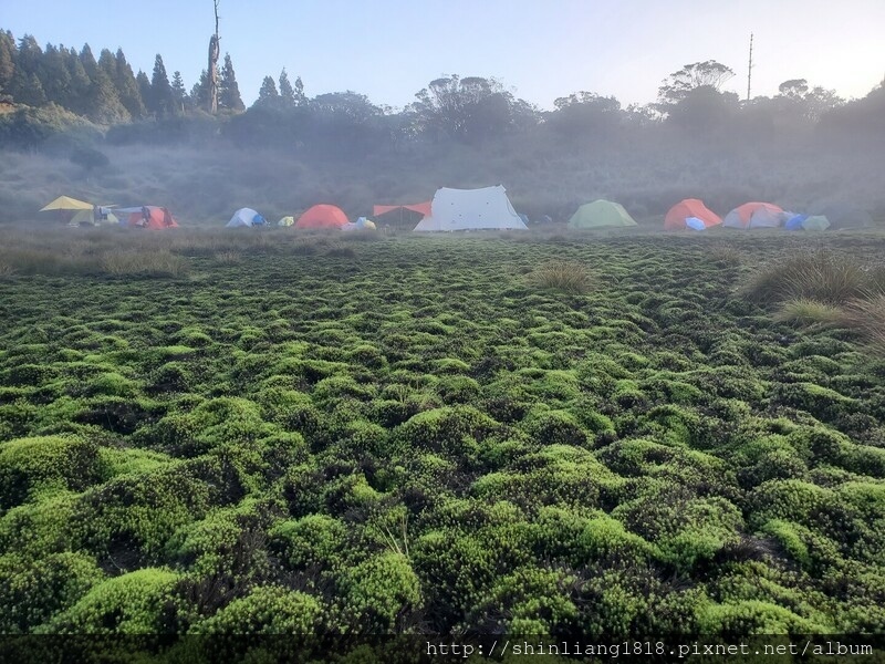 親子登山 加羅湖 加羅北池 太加縱走 太加太來回走