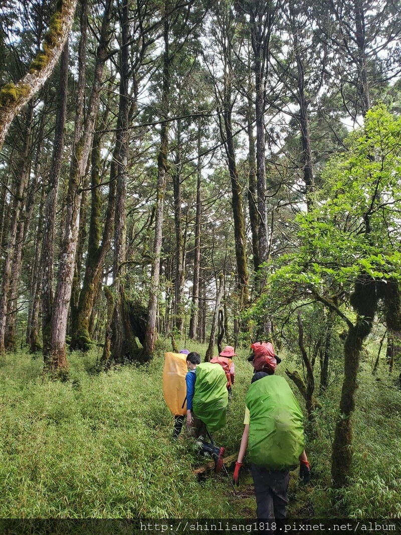 親子登山 加羅湖 加羅北池 太加縱走 太加太來回走