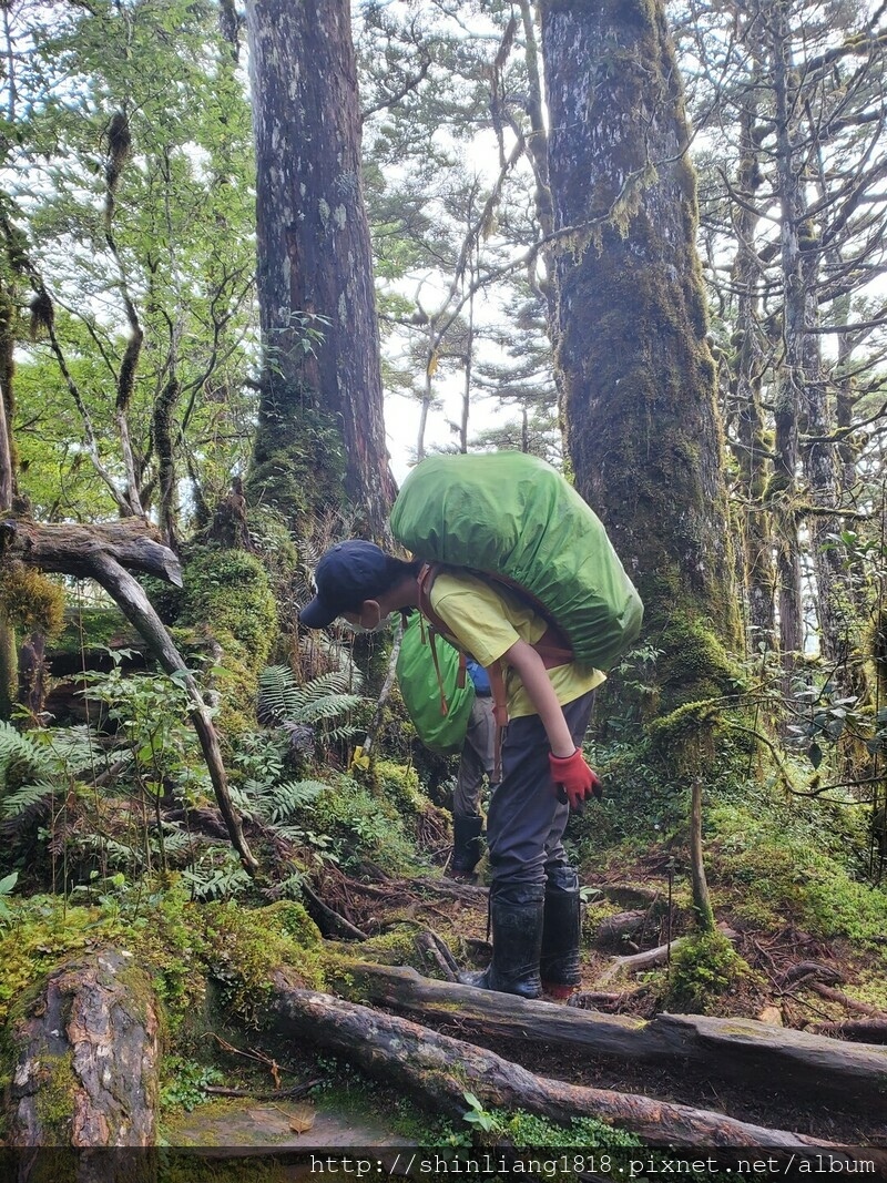 親子登山 加羅湖 加羅北池 太加縱走 太加太來回走