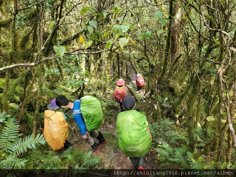 親子登山 加羅湖 加羅北池 太加縱走 太加太來回走