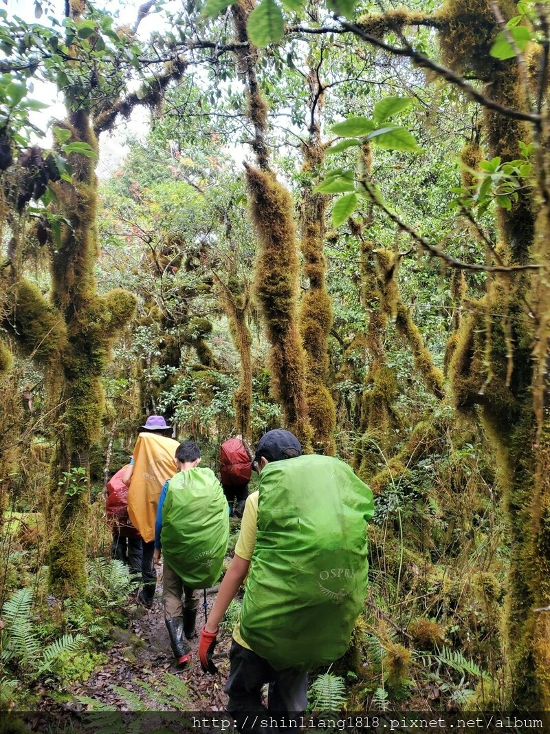 親子登山 加羅湖 加羅北池 太加縱走 太加太來回走