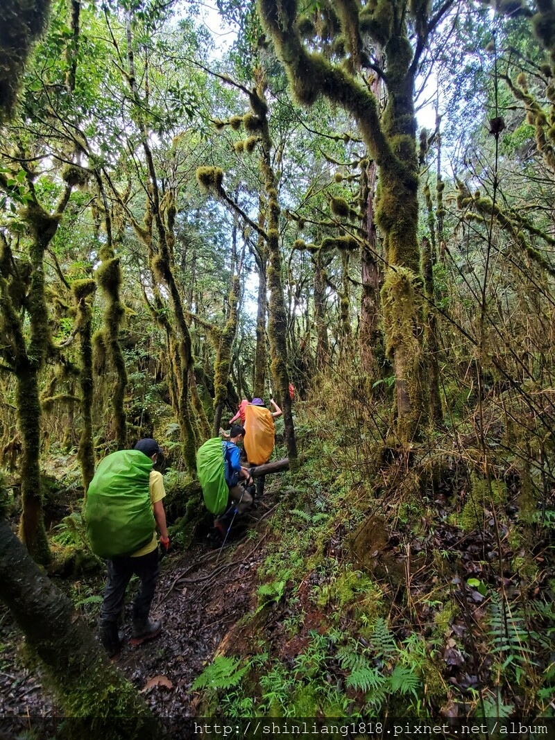 親子登山 加羅湖 加羅北池 太加縱走 太加太來回走