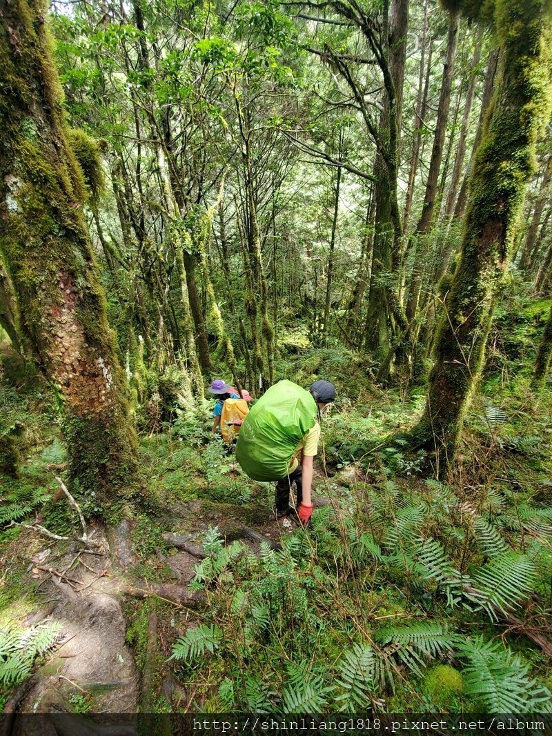 親子登山 加羅湖 加羅北池 太加縱走 太加太來回走