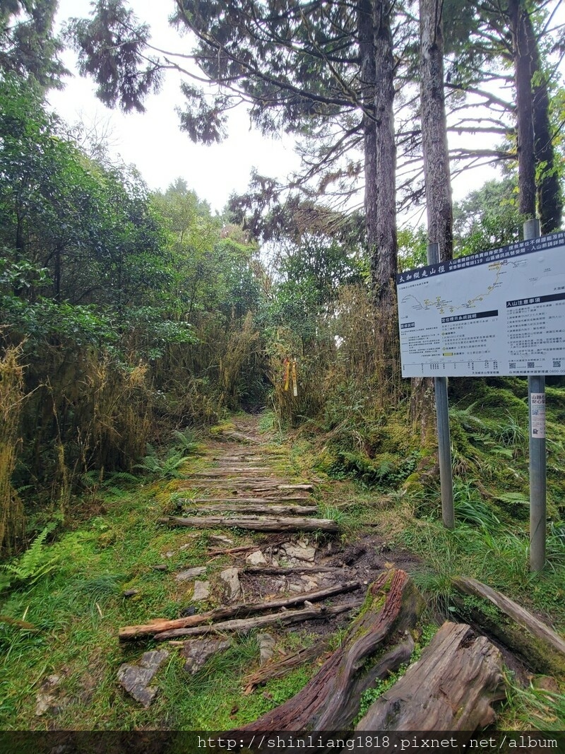 親子登山 加羅湖 加羅北池 太加縱走 太加太來回走