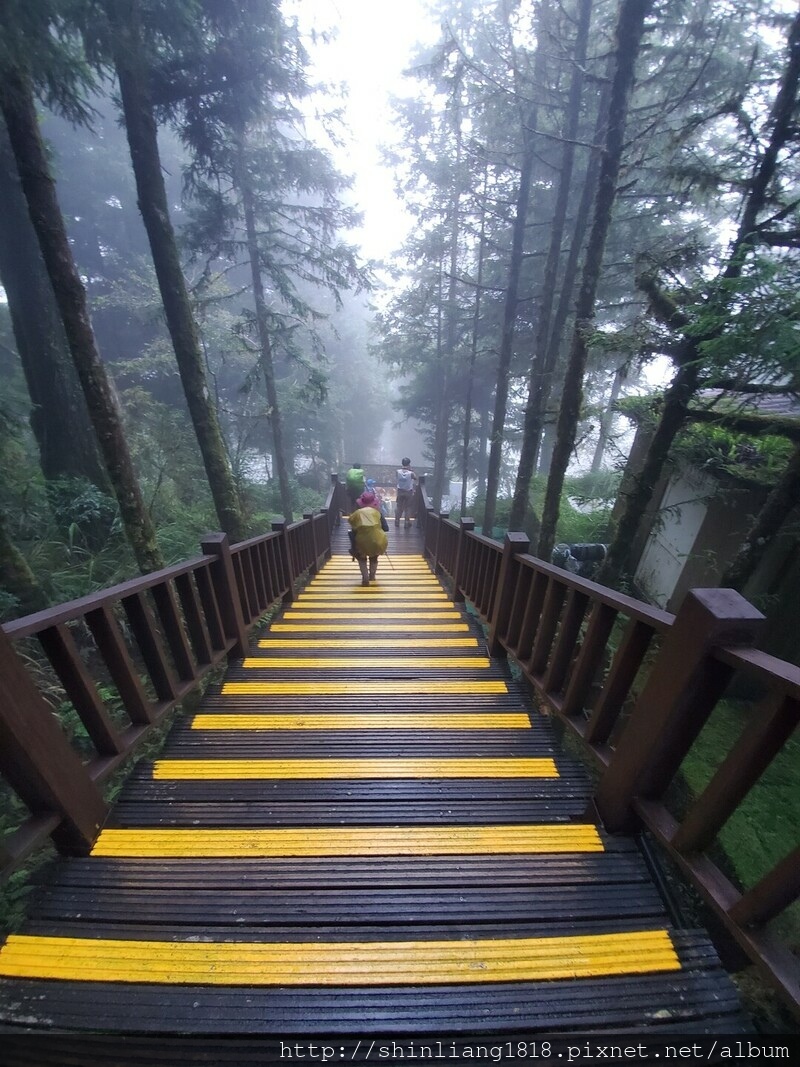 親子登山 加羅湖 加羅北池 太加縱走 太加太來回走