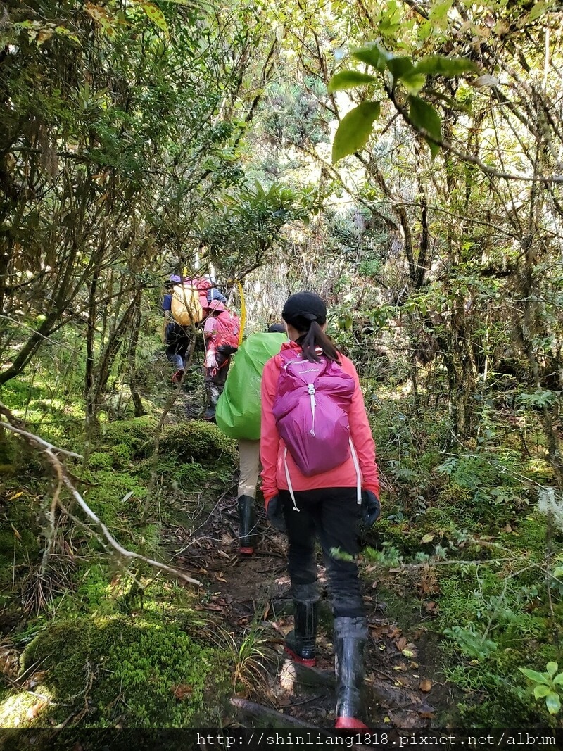 太加太來回走 加羅北池 加羅湖 親子登山 宜蘭