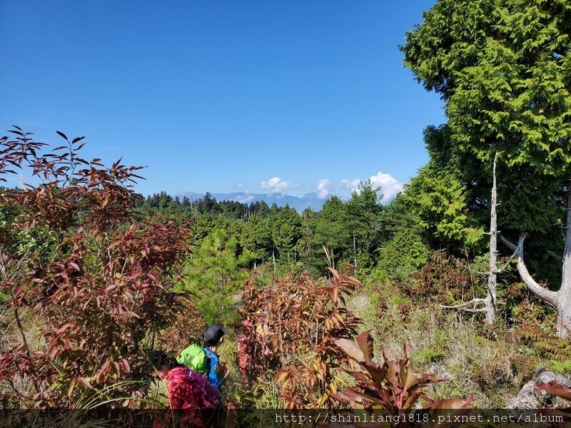 太加太來回走 加羅北池 加羅湖 親子登山 宜蘭