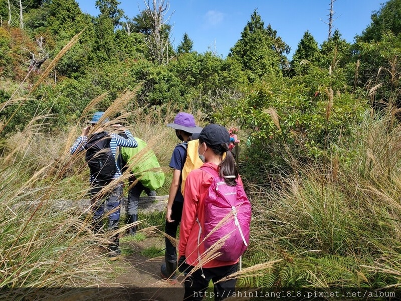 太加太來回走 加羅北池 加羅湖 親子登山 宜蘭