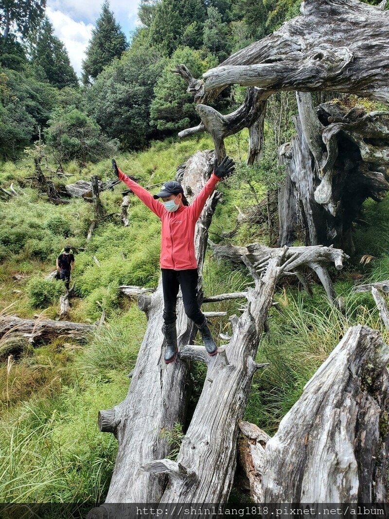 太加太來回走 加羅北池 加羅湖 親子登山 宜蘭