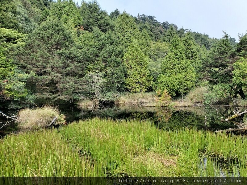 太加太來回走 加羅北池 加羅湖 親子登山 宜蘭