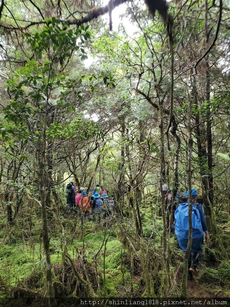 太加太來回走 加羅北池 加羅湖 親子登山 宜蘭