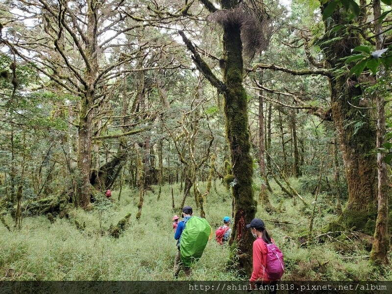 太加太來回走 加羅北池 加羅湖 親子登山 宜蘭