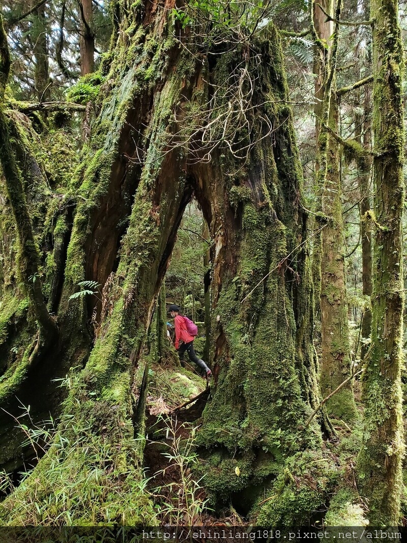 太加太來回走 加羅北池 加羅湖 親子登山 宜蘭