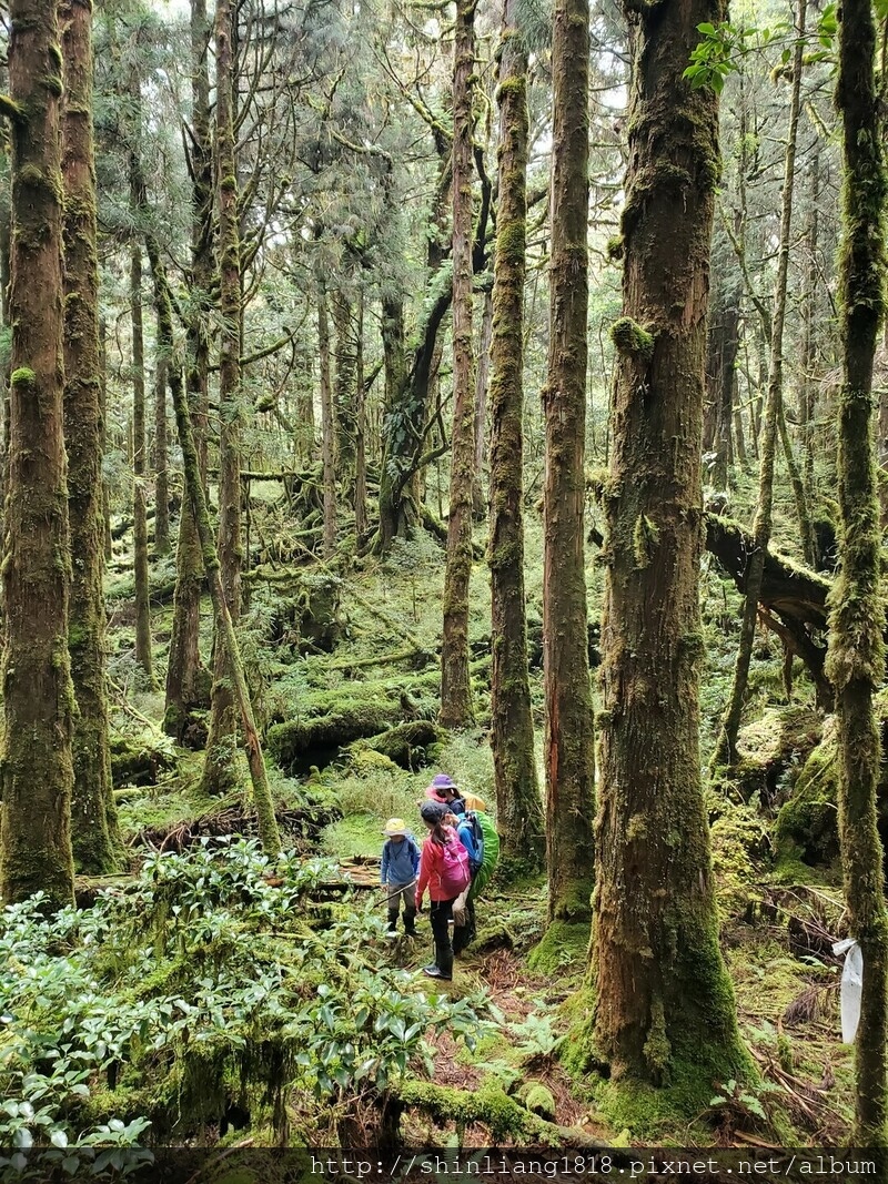 太加太來回走 加羅北池 加羅湖 親子登山 宜蘭