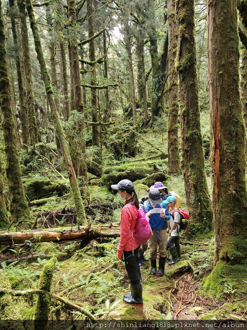 太加太來回走 加羅北池 加羅湖 親子登山 宜蘭