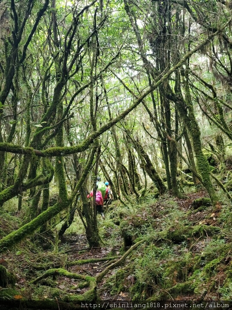 太加太來回走 加羅北池 加羅湖 親子登山 宜蘭