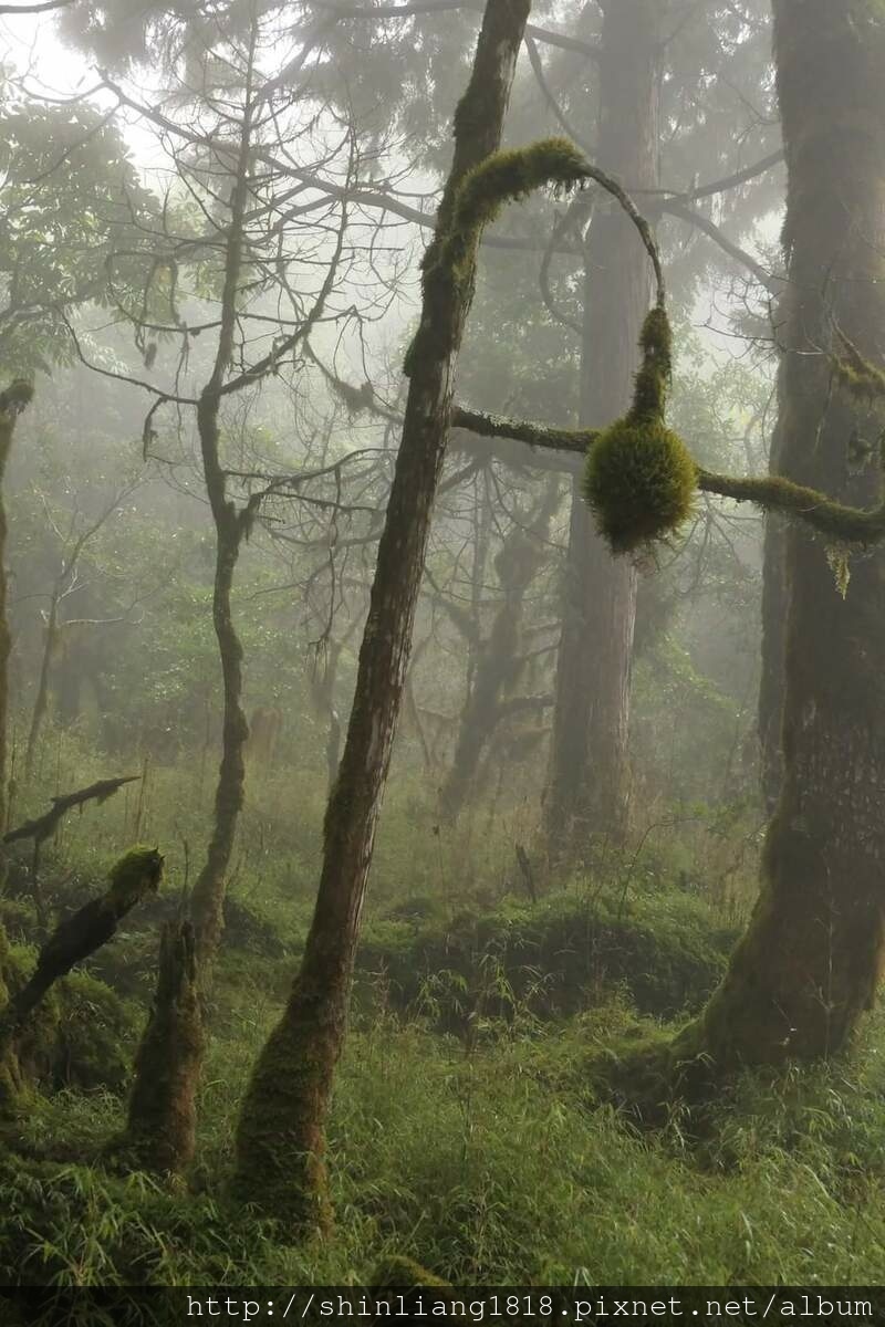 太加太來回走 加羅北池 加羅湖 親子登山 宜蘭