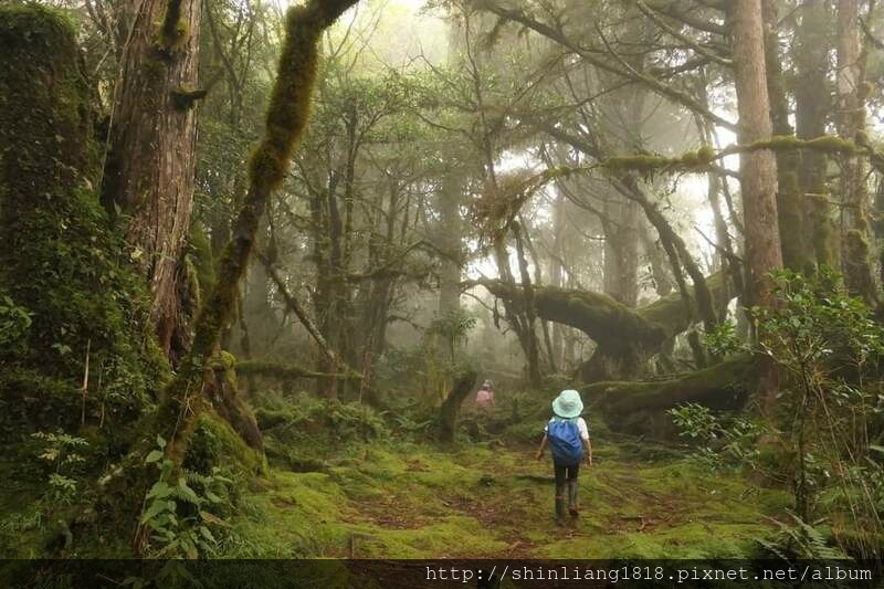 太加太來回走 加羅北池 加羅湖 親子登山 宜蘭