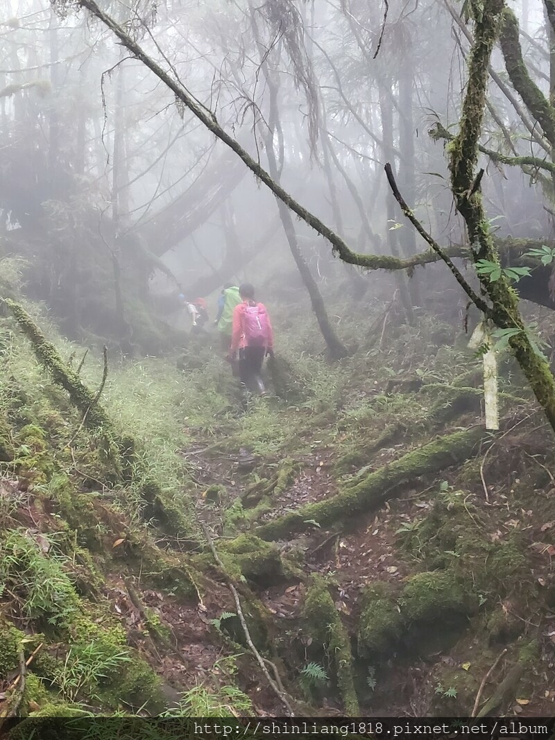 太加太來回走 加羅北池 加羅湖 親子登山 宜蘭