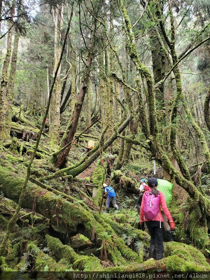 太加太來回走 加羅北池 加羅湖 親子登山 宜蘭