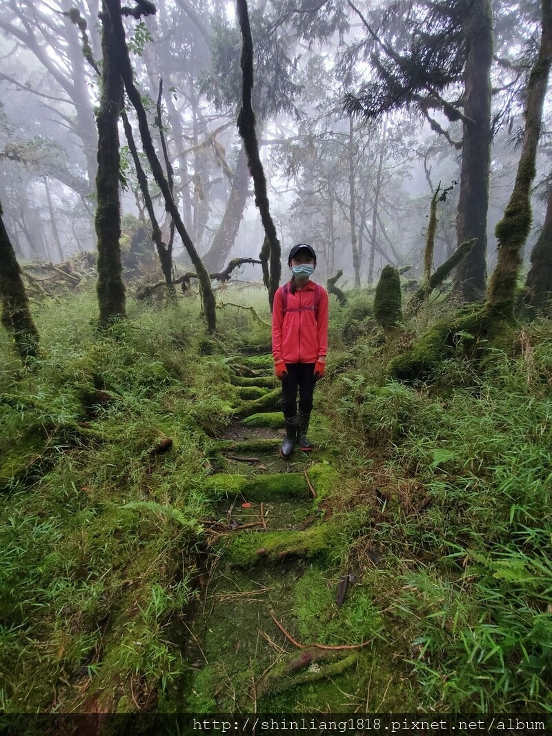 太加太來回走 加羅北池 加羅湖 親子登山 宜蘭