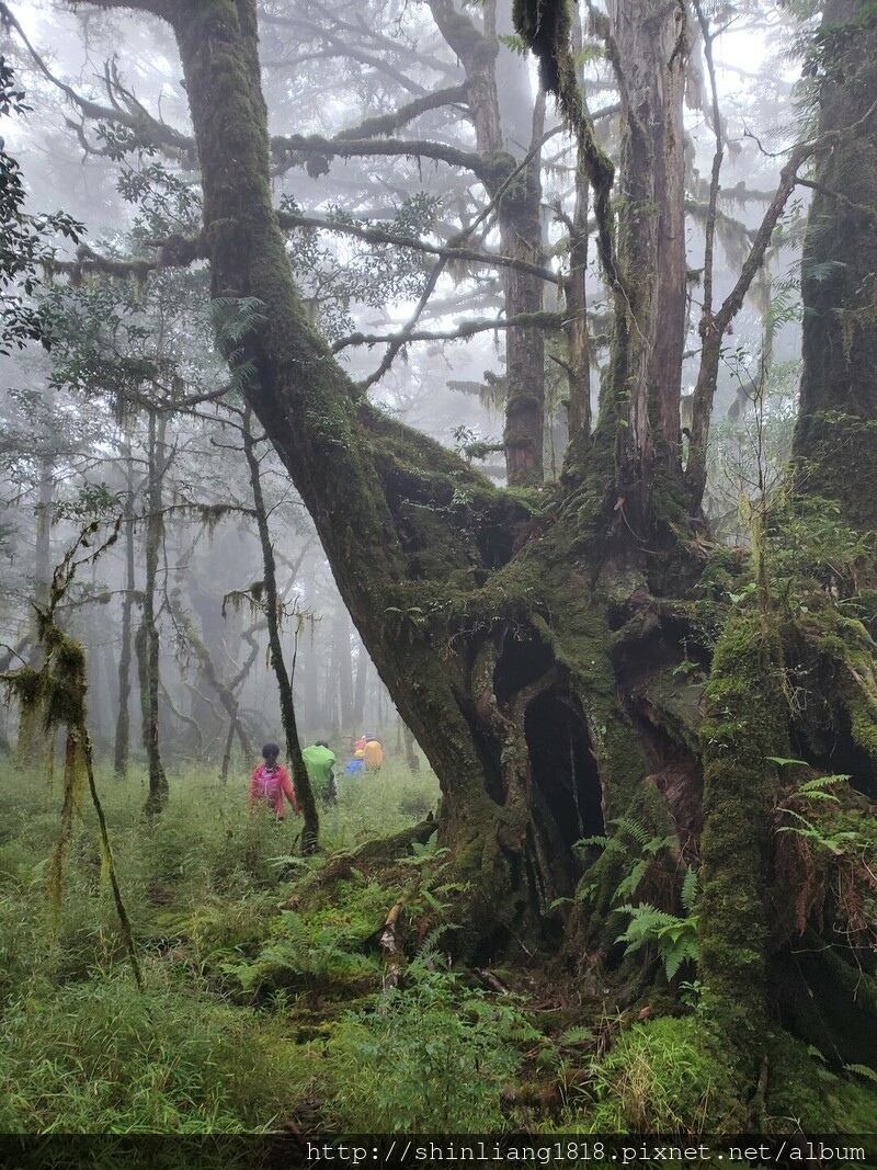 太加太來回走 加羅北池 加羅湖 親子登山 宜蘭