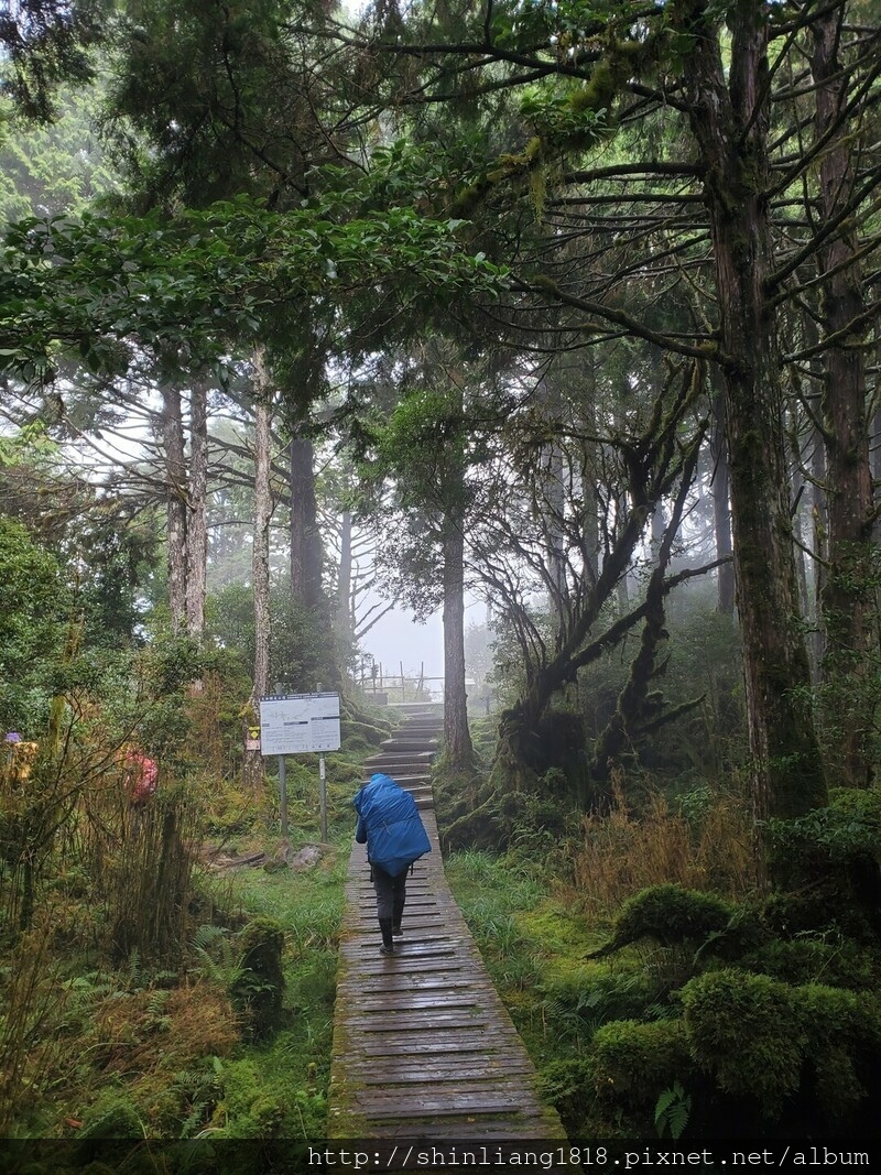 太加太來回走 親子登山 登山 加羅湖 加羅湖北池