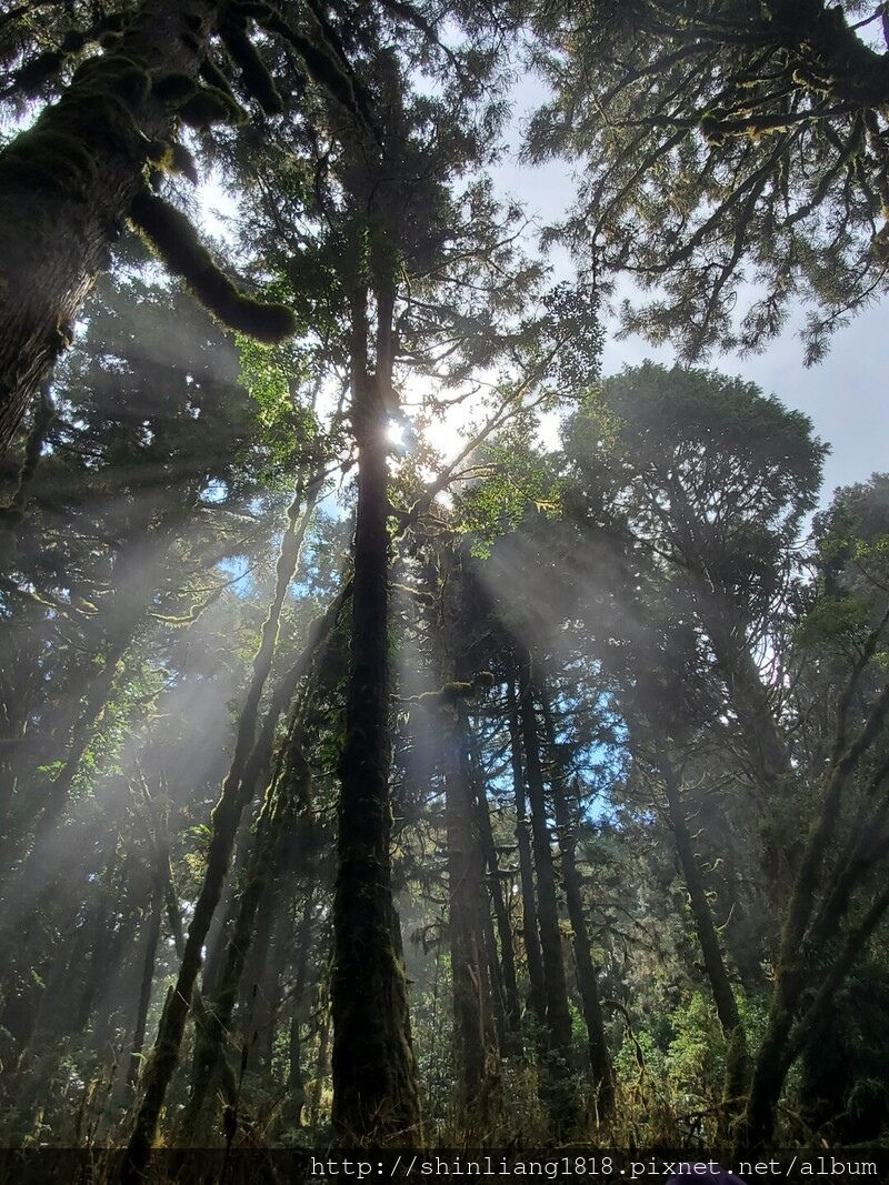 太加太來回走 親子登山 登山 加羅湖 加羅湖北池