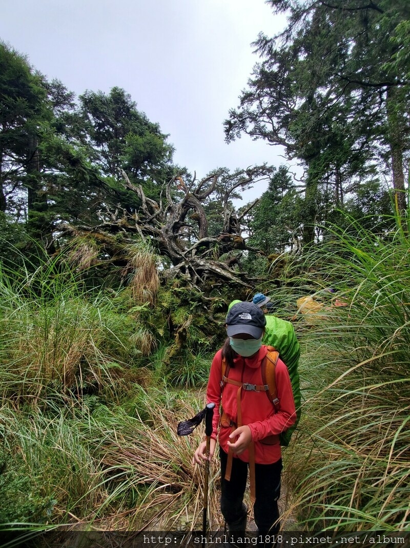 太加太來回走 親子登山 登山 加羅湖 加羅湖北池