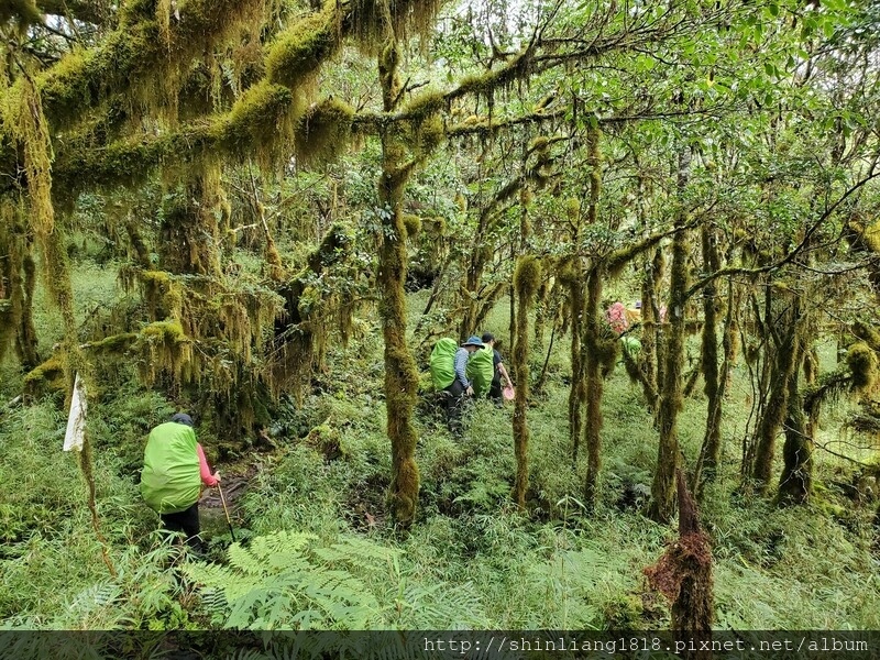 太加太來回走 親子登山 登山 加羅湖 加羅湖北池