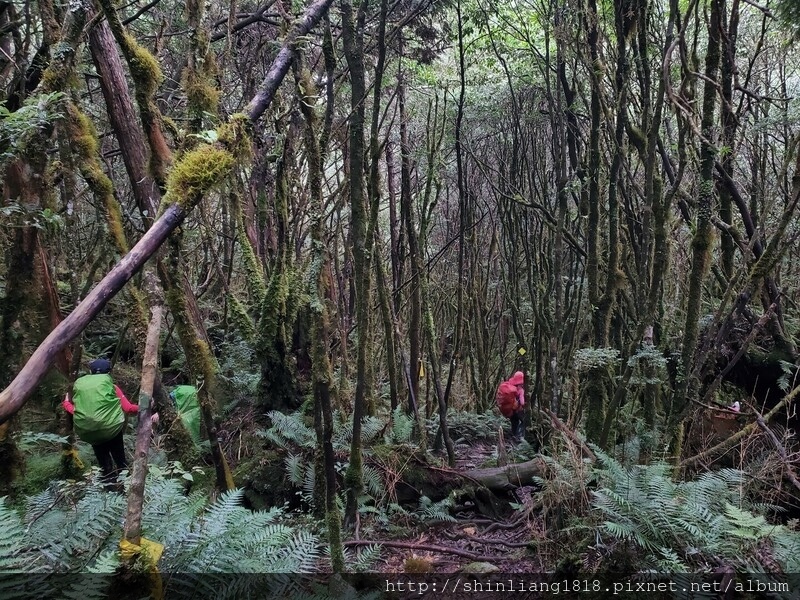 太加太來回走 親子登山 登山 加羅湖 加羅湖北池