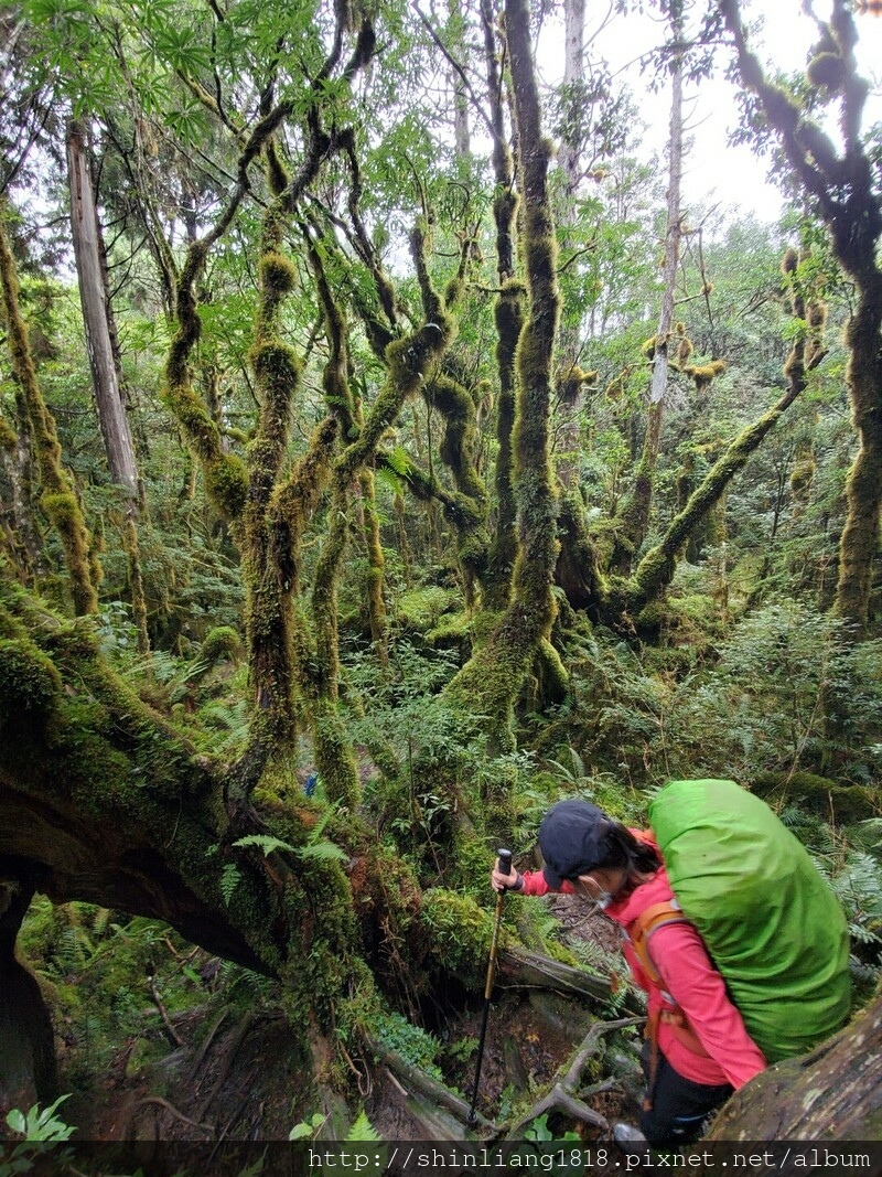 太加太來回走 親子登山 登山 加羅湖 加羅湖北池