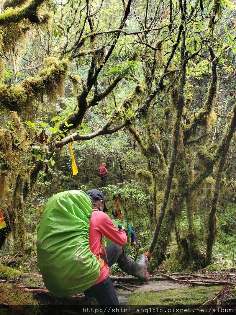 太加太來回走 親子登山 登山 加羅湖 加羅湖北池