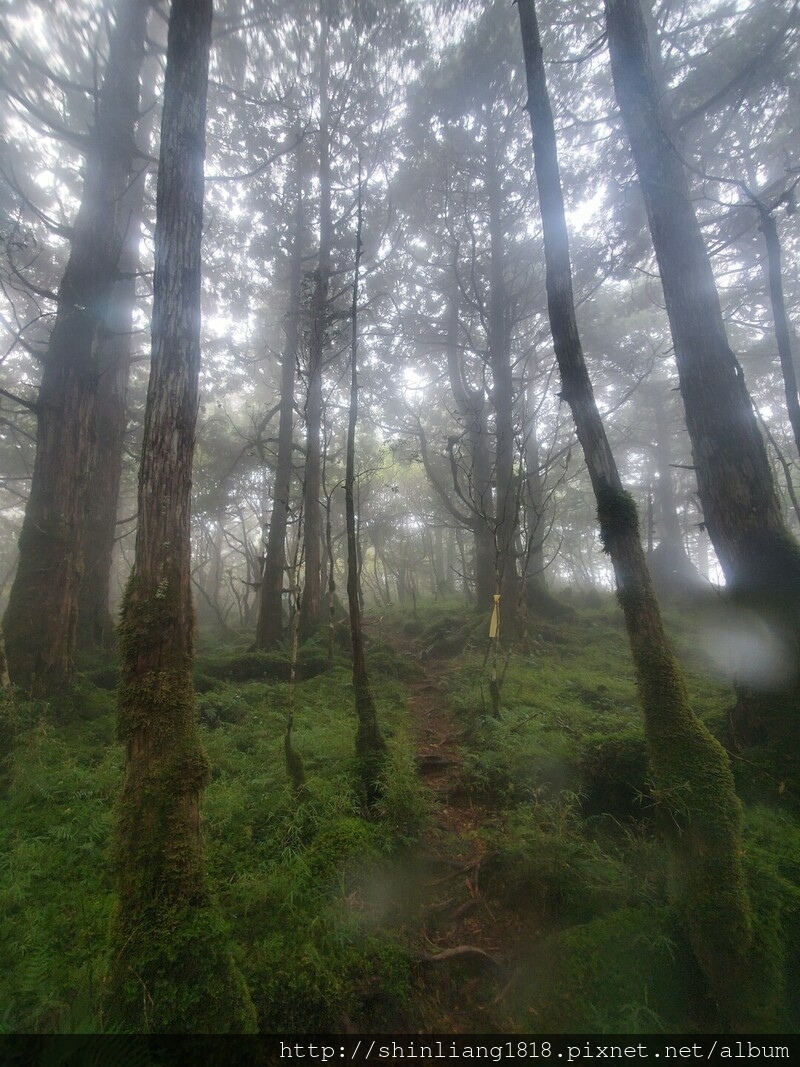 太加太來回走 親子登山 登山 加羅湖 加羅湖北池