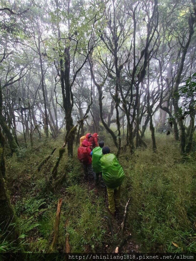 太加太來回走 親子登山 登山 加羅湖 加羅湖北池