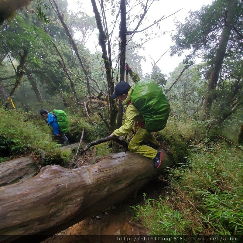 太加太來回走 親子登山 登山 加羅湖 加羅湖北池