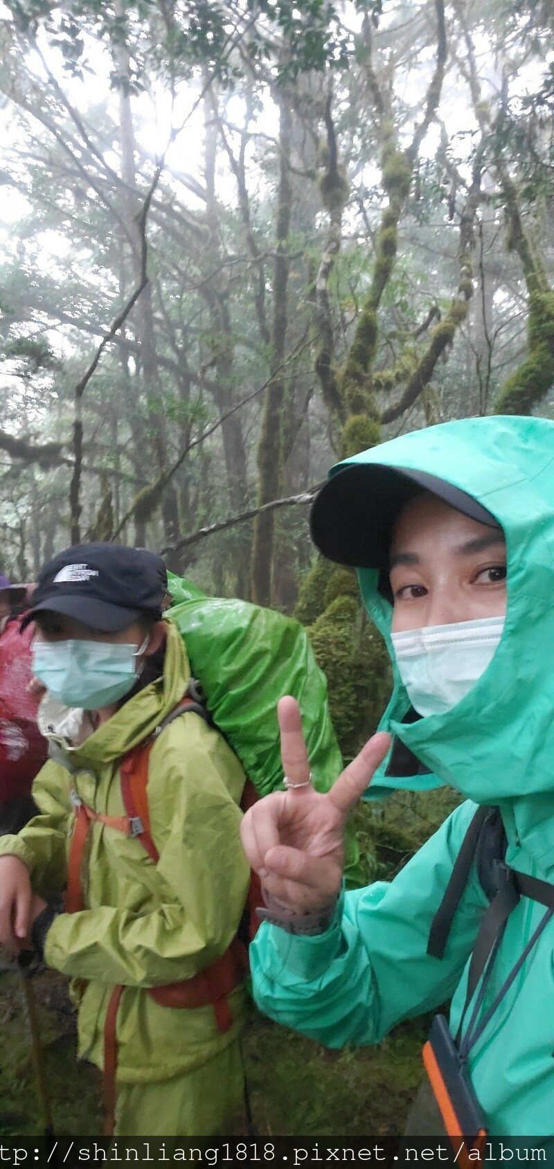 太加太來回走 親子登山 登山 加羅湖 加羅湖北池