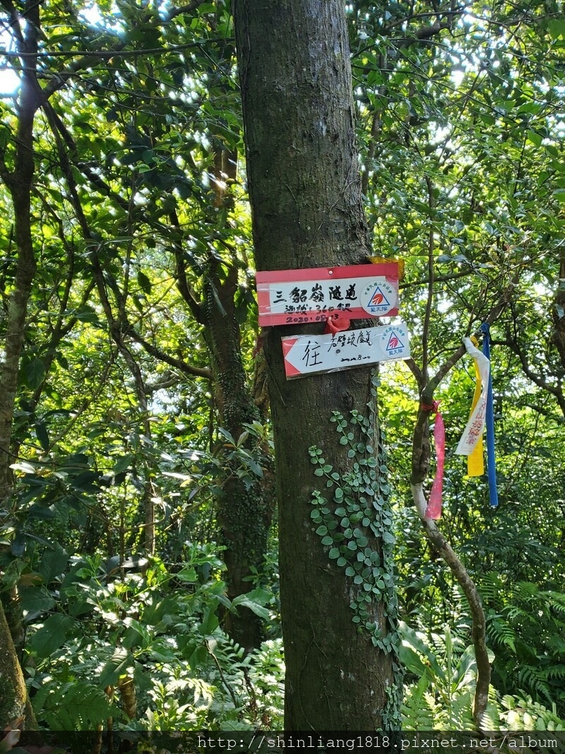 親子登山 登山 瑞芳 古道 古厝