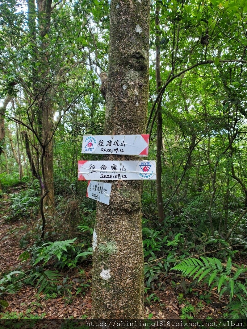 親子登山 登山 瑞芳 古道 古厝