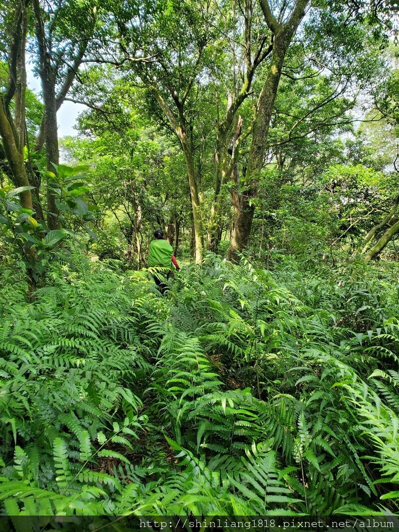 親子登山 登山 瑞芳 古道 古厝