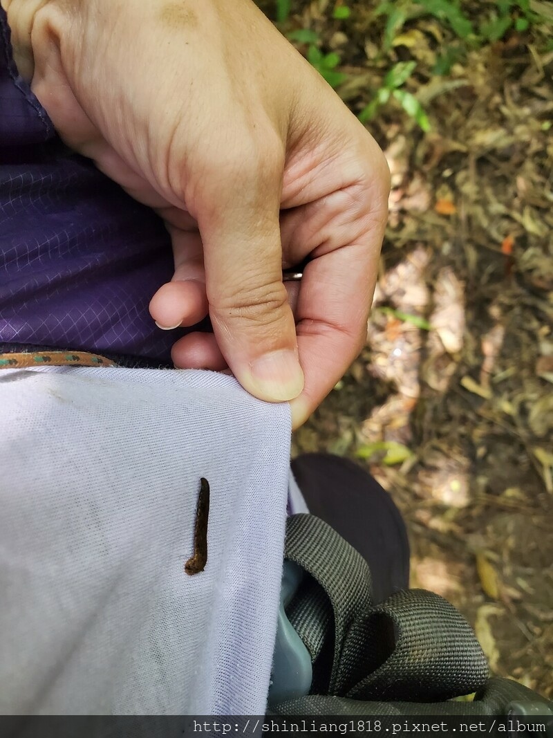 親子登山 登山 瑞芳 古道 古厝