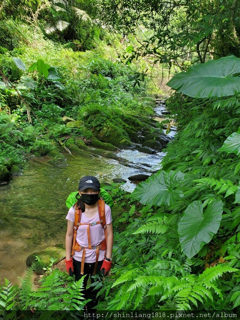 親子登山 登山 瑞芳 古道 古厝