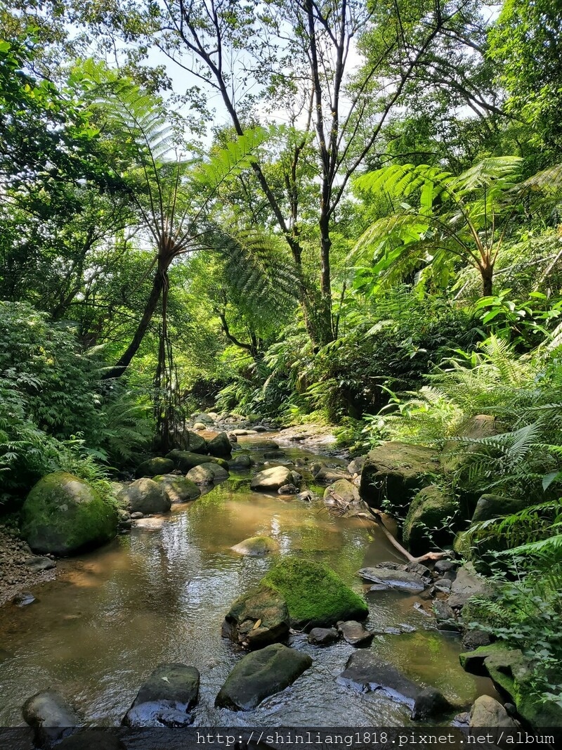 親子登山 登山 瑞芳 古道 古厝