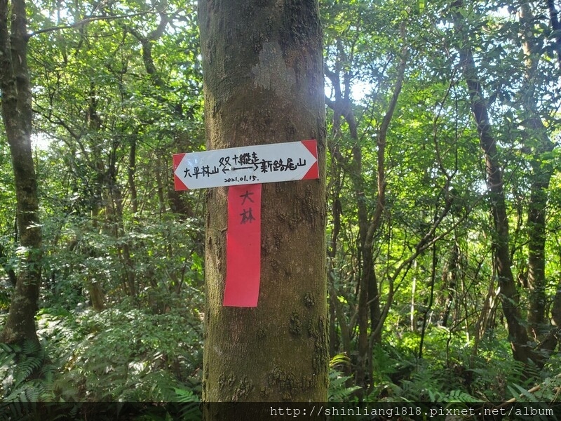 親子登山 登山 瑞芳 古道 古厝