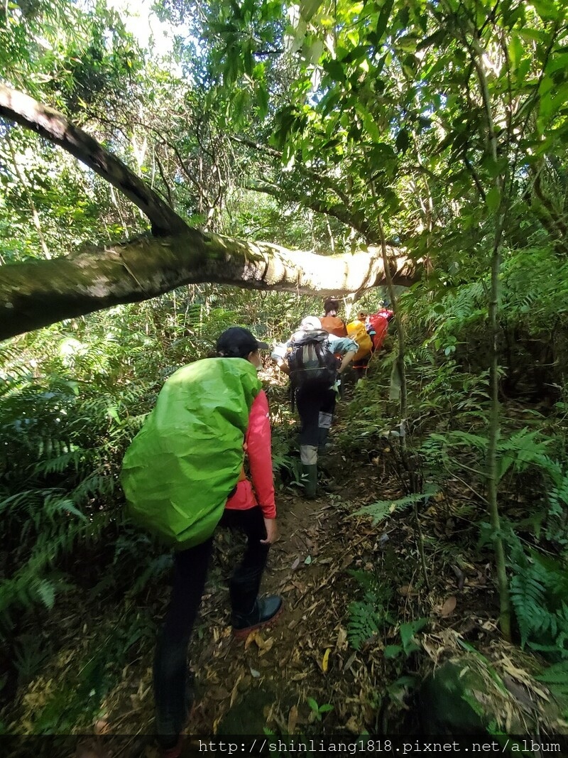 陽明山 親子登山 陽明山草原秘境 健腳級行程 擎天崗